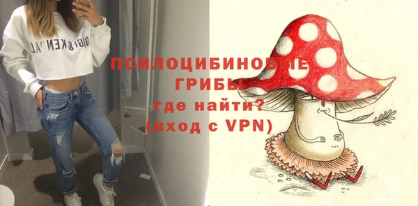 шишки Гусиноозёрск