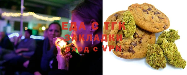 шишки Гусиноозёрск