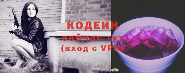 шишки Гусиноозёрск