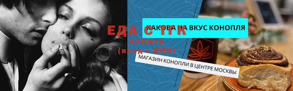 шишки Гусиноозёрск