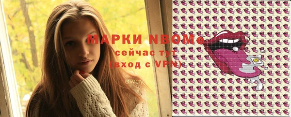 шишки Гусиноозёрск