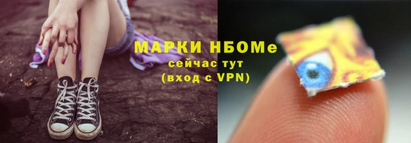 шишки Гусиноозёрск