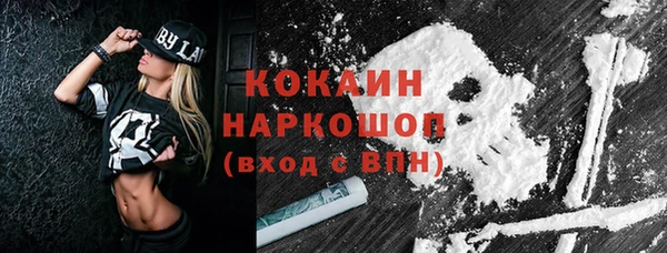 шишки Гусиноозёрск