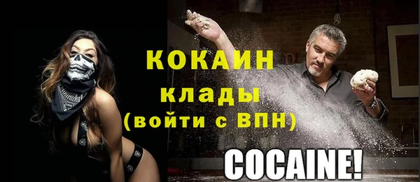 МДПВ Ветлуга