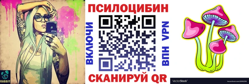 дарк нет формула  Заринск  Галлюциногенные грибы Psilocybine cubensis 