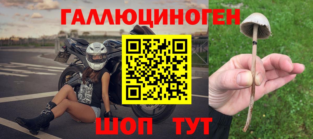 Галлюциногенные грибы GOLDEN TEACHER Заринск